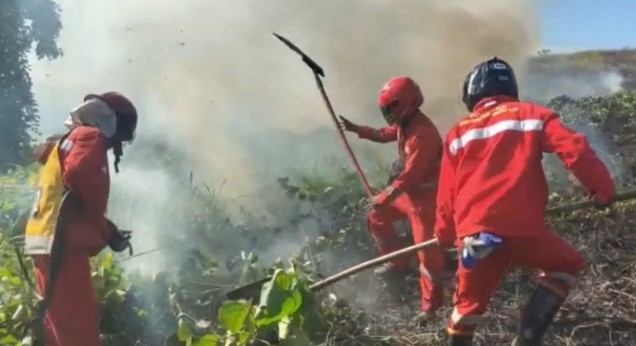 "Petugas manggala agni saat memadamkan api