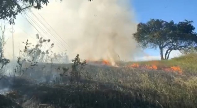 "Kebakaran hutan dan lahan (Karhutla).